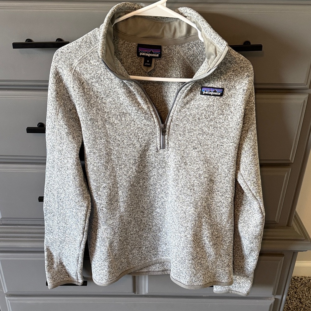 Patagonia Men's Zip-Up Sweater in Light Gray